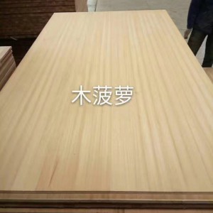 木菠萝（金丝木）图2