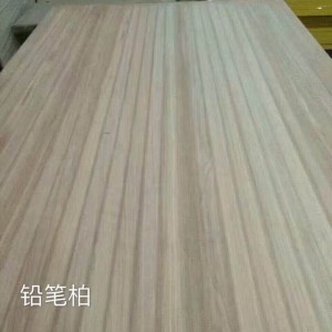 铅笔柏（春茶）图2