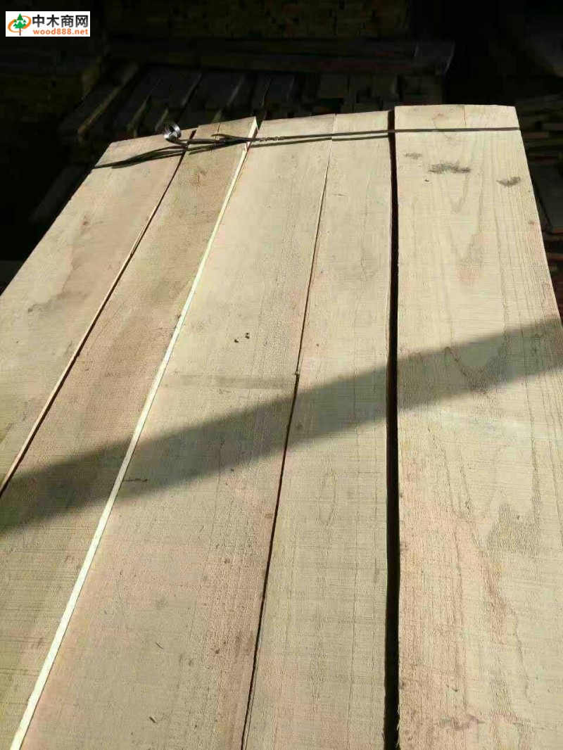 白杨木烘干板材_白杨木烘干板材价格_白杨木家具的优点图片