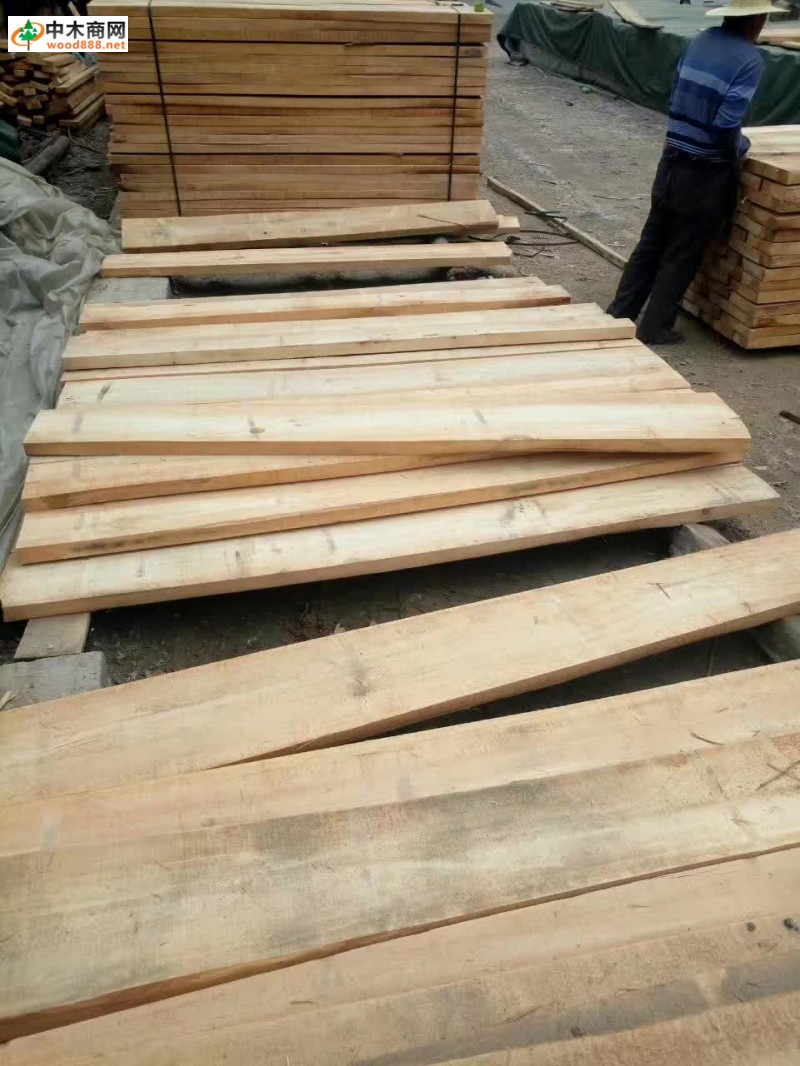 白椿木板材自然宽,厚度2.5