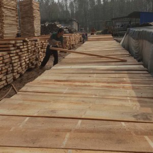 河南漯河白杨木烘干板,厚度2.5-7.5厘米