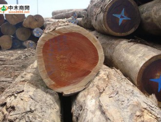 2017年欧洲热带木材贸易可望维持稳定