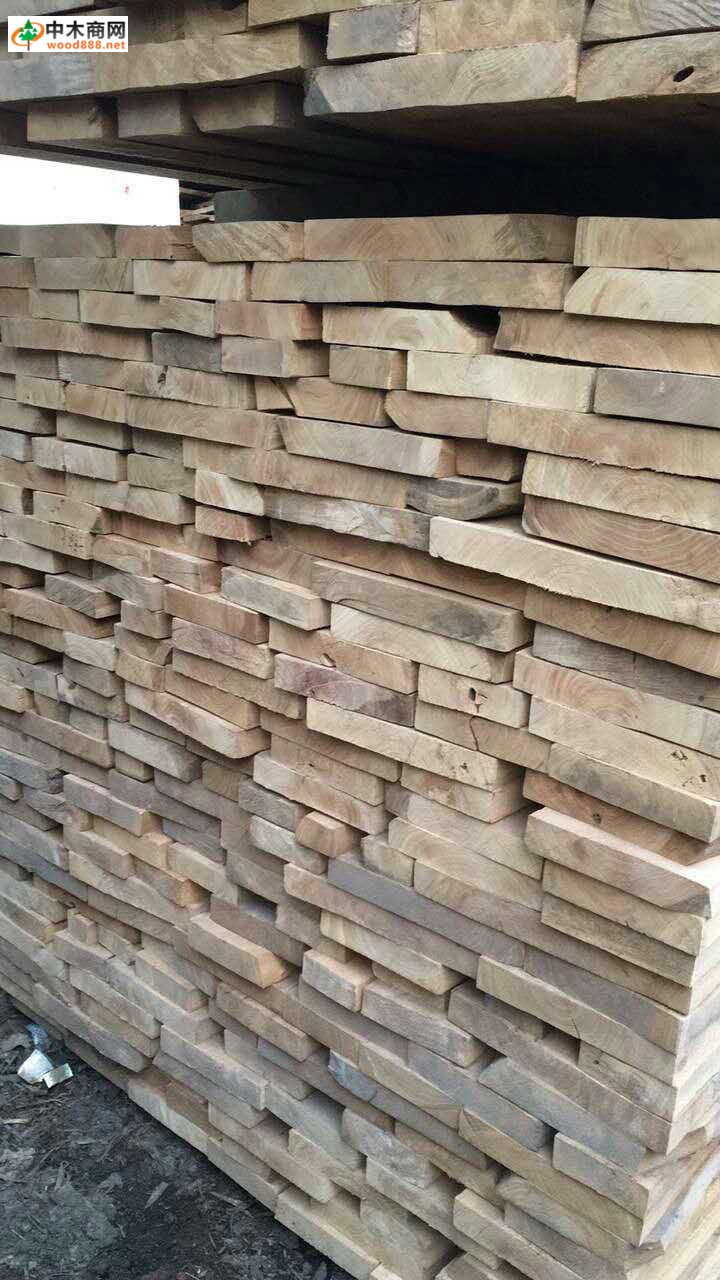 榆木烘干板材价格