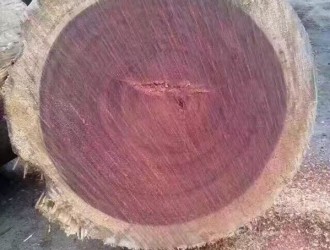 如何挑选赞比亚血檀木材?