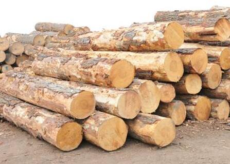 2016年拉脱维亚比较大木材加工企业销售增长9%