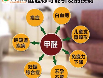 乱象丛生的中国板材市场：百的宝板材始终坚守底线