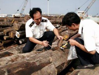 黄埔口岸全国首次截获两种重要外来木材害虫