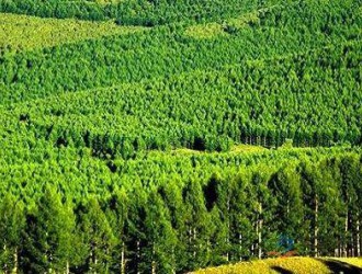 林业标准化示范企业申报书