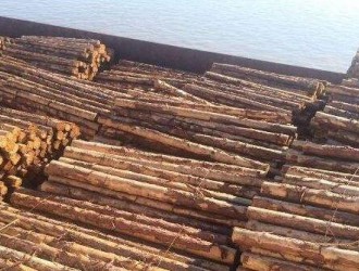 2022年全球工程木材市场规模将达到413亿美元