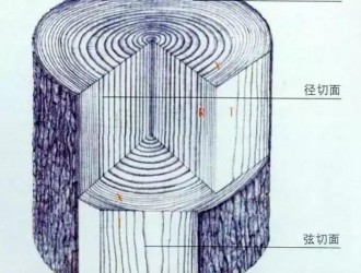 木材的切面介绍