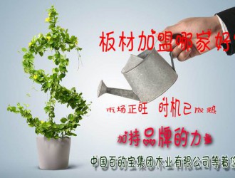 板材加盟|为什么都在抢着做百的宝板材的品牌代理商