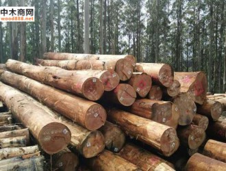 澳大利亚原木收获量首次超过3000万立方米