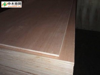 欧盟执委会暗示：中国奥古曼木胶合板生产能力可能更高？
