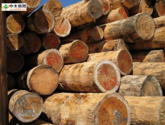 中国海关：5月份中国进口原木及锯材769万立方米