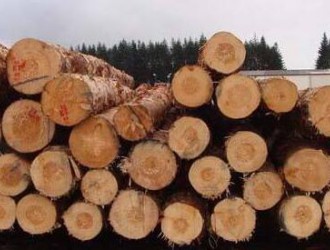 澳大利亚原木收获量首次超过3000万立方米
