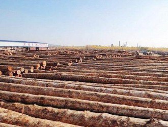 2017年环保政策持续“发威”，木业行业如何应对?