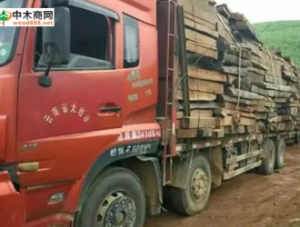 缅军查获138吨走私木材并抓获13名中国籍公民