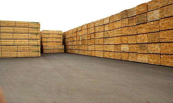 九江：华中国际木业木材专用码头开工建设