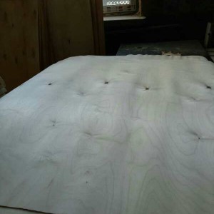 桦木旋切木皮