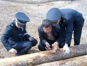浙江湖州检验检疫局首次截获检疫性有害生物刻木材小蠹