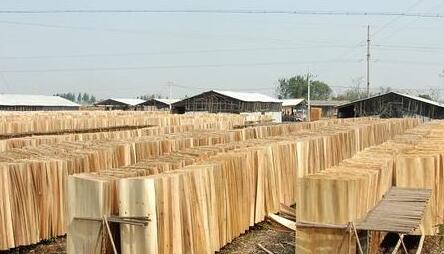 中小木材企业只有找到突破口和路径才能发展
