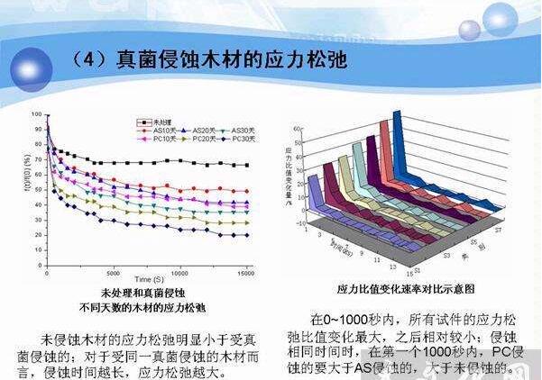 木材细胞壁上的结构特征——纹孔