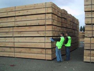 澳大型木材出口商公布业绩预期 亚洲需求驱动盈利