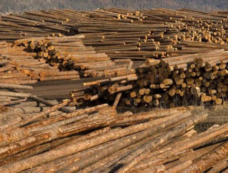 加拿大不列颠哥伦比亚省原木出口猛增，但出口政策未定