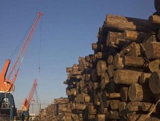 港口木材市场萧条 整体价格趋于稳定