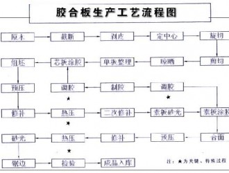 胶合板的制作过程