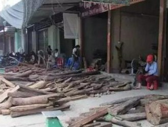越南木材市场关税再涨25%，红木该何去何从？