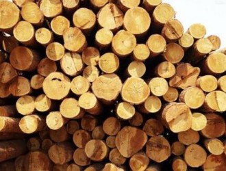 印度GST税改对进口木材的影响