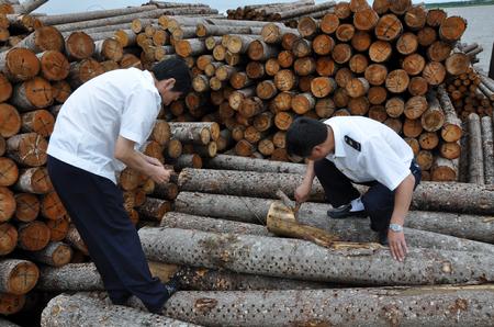 浙江省红木产业协会组织木材检验技能实际操作考试