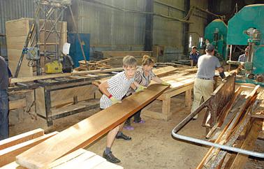 木材加工工业的咨询技术 ——规划制造流程