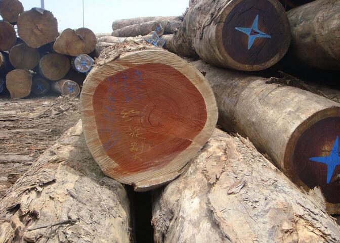 近期欧盟市场的热带木材进口量呈现衰退