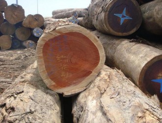 近期欧盟市场的热带木材进口量呈现衰退