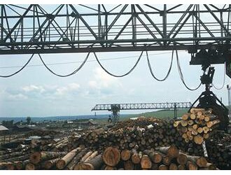 中国企业计划在俄远东投资建设木材工业园