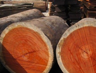 木材百科：红花梨的木材性质和相同商品名称的树种