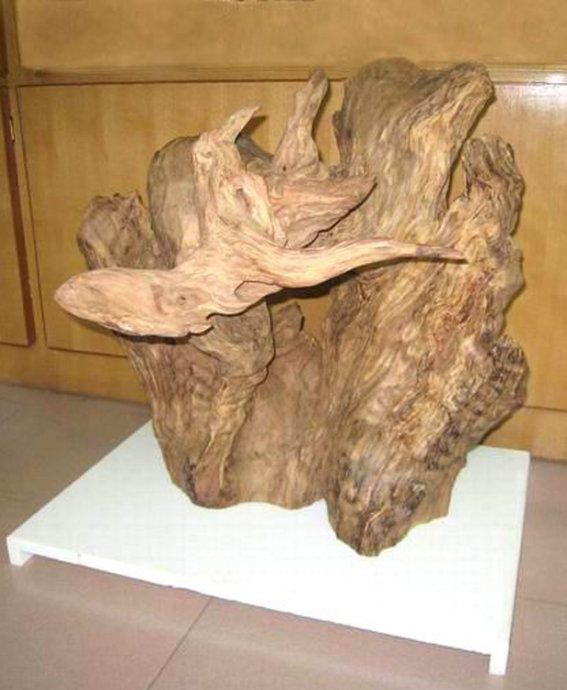  孤雁寻踪（阴沉木）