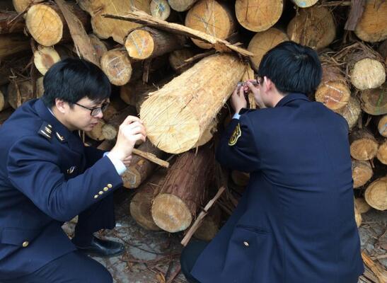 进口木材在弥补国内木材短缺矛盾的同时，也带来复杂的有害生物疫情和质量安全问题，给国家利益和人民<a href=