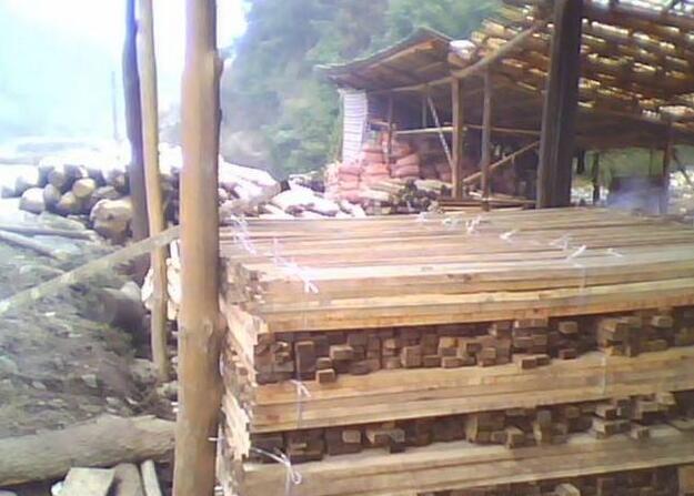 广西天峨森林公安依法查处6家木材加工厂