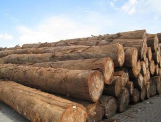 贵阳市木材流通领域2017年上半年行政执法成效显著