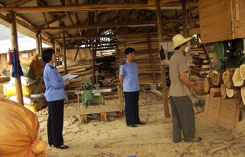 达川区对全区木材经营加工场所开展专项检查