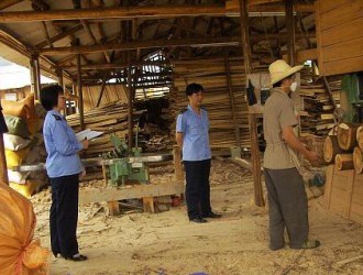 达川区对全区木材经营加工场所开展专项检查