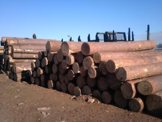 木业人士不得不知的木材涨价套路