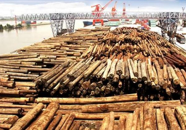 老挝木材市场低迷，原木依然无法进口到中国