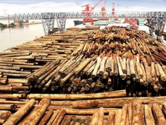 老挝木材市场低迷，原木依然无法进口到中国