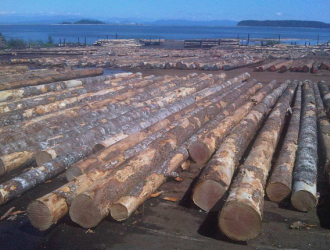 大连长兴岛打造进口木材储运及深加工基地