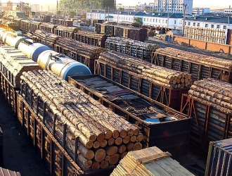 俄罗斯对华原木供应增长8.5% “一带一路”建设取得积极成果