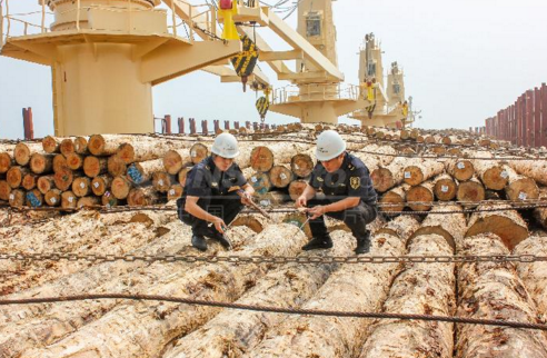 日照岚山口岸上半年进口木材突破300万立方